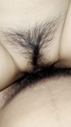 预览图8