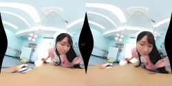 预览图4