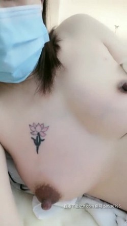 预览图4