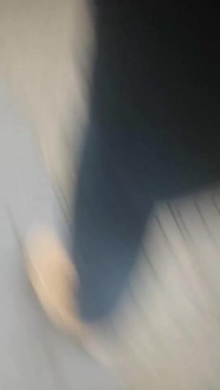 预览图7