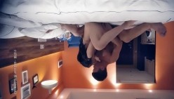 预览图9