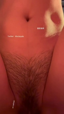 预览图4
