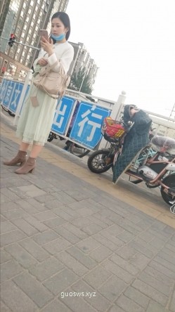 预览图2