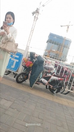 预览图3