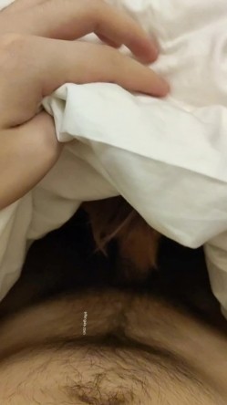 预览图9