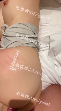 预览图15