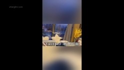 预览图13