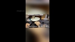 预览图15