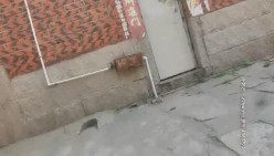 预览图9