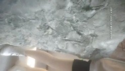 预览图12