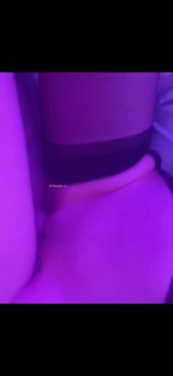 预览图9