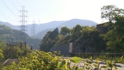 预览图16