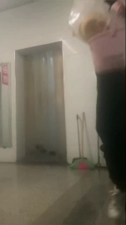 预览图2