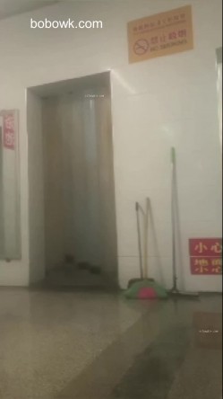 预览图4