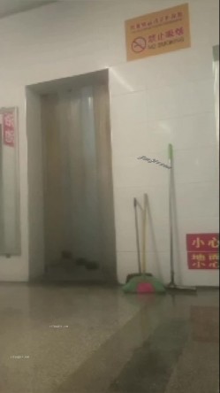 预览图5