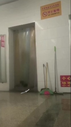 预览图7