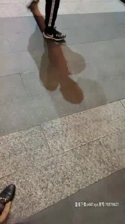 预览图11
