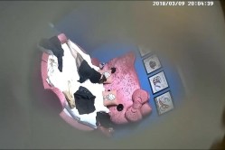 预览图5