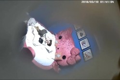 预览图10