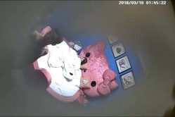 预览图13