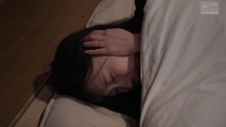 预览图4