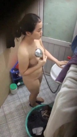 预览图14