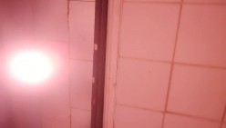 预览图4