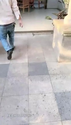 预览图1