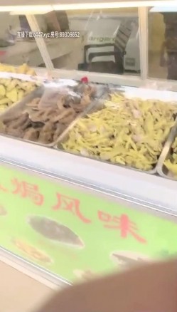预览图5