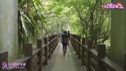 预览图5
