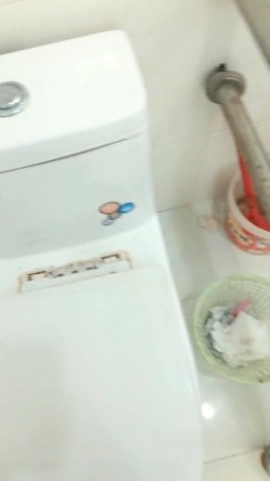 预览图13