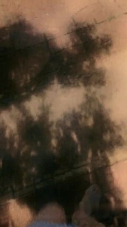 预览图15