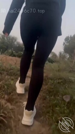 预览图4