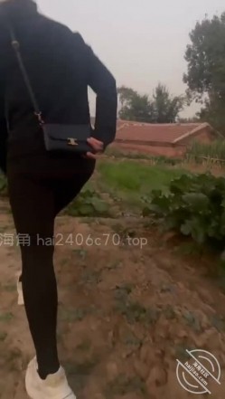 预览图7