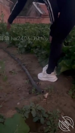 预览图12