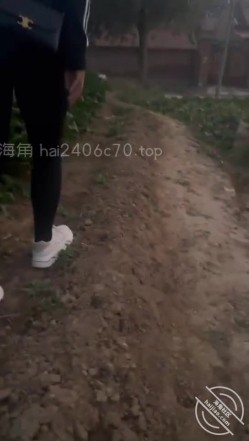 预览图14