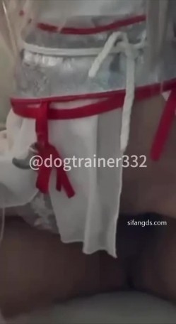 预览图13