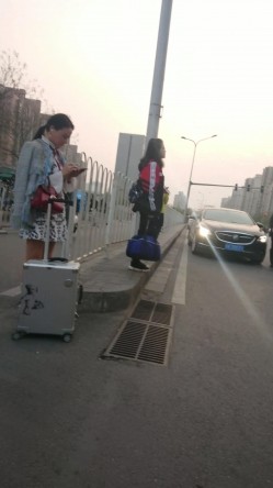预览图12