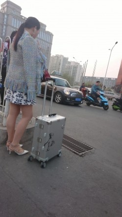预览图14