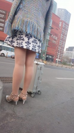 预览图15