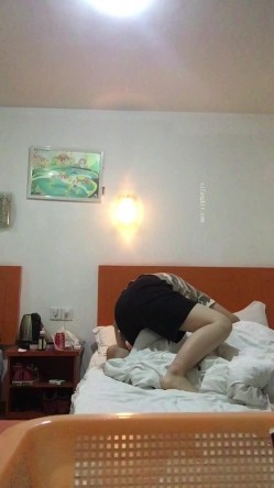 预览图2