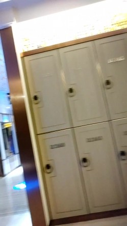预览图12