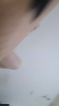 预览图6