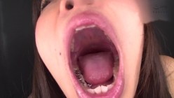 预览图11