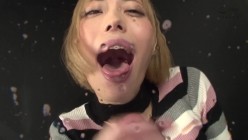预览图16