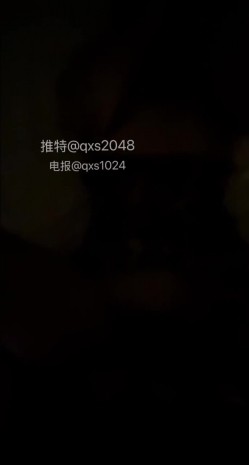 预览图4