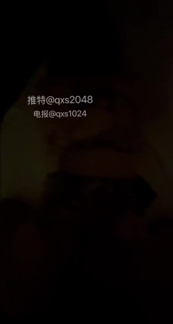 预览图11