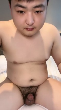 预览图4