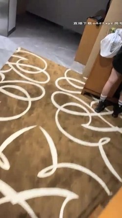 预览图9
