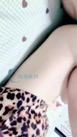 预览图13